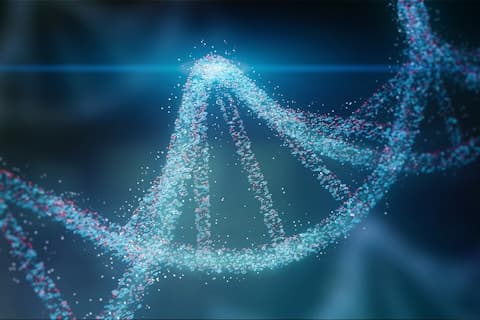Understanding the principles of organic chemistry