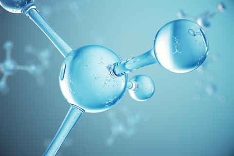 Cell Biology Fundamentals