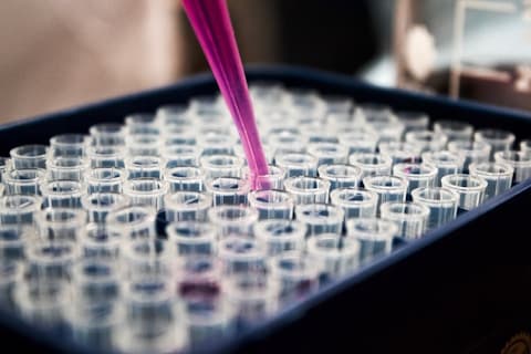 Advanced Organic Synthesis
